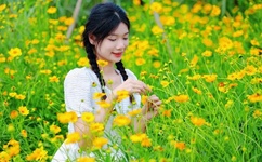 金品典当师下载